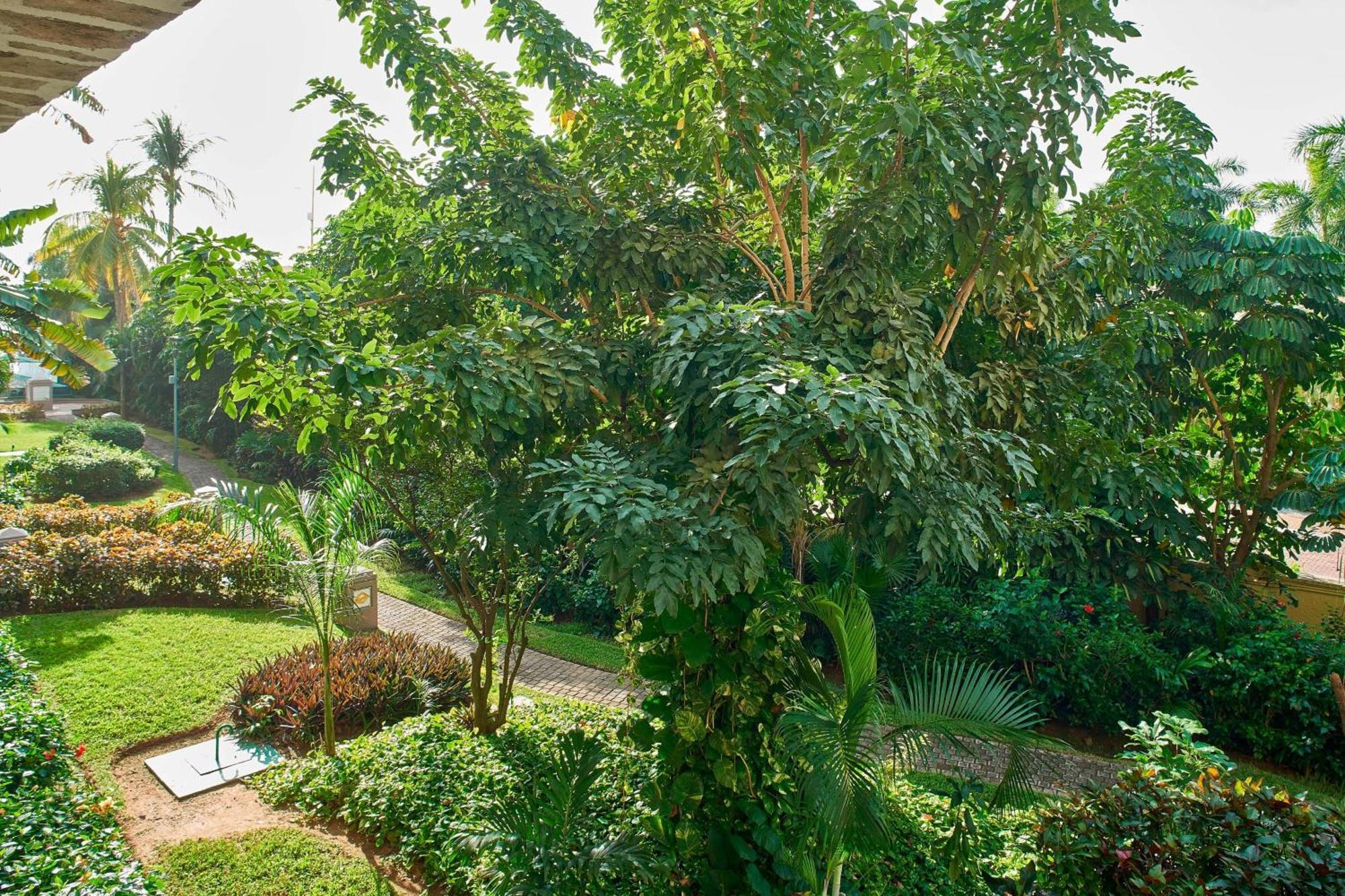 Marriott Puerto Vallarta Resort & Spa Екстериор снимка